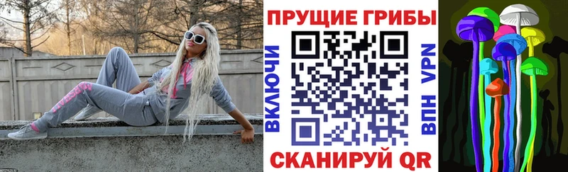 Галлюциногенные грибы MAGIC MUSHROOMS  Купить закладки  Лаишево 